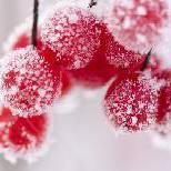 yizhiyangou的个人资料头像