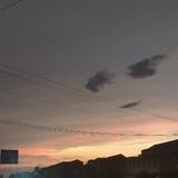 番茄101409559010头像