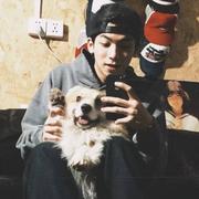 RB185的个人资料头像