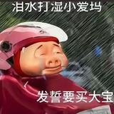 多才柑桔iOn头像