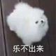 白开R头像