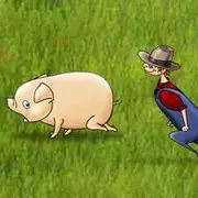 catch_pig的个人资料头像