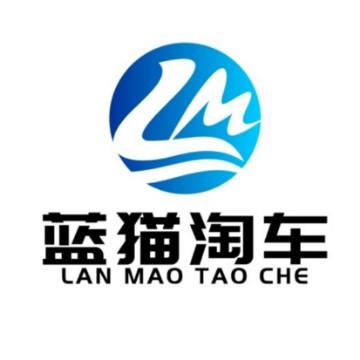 蓝猫淘车头像