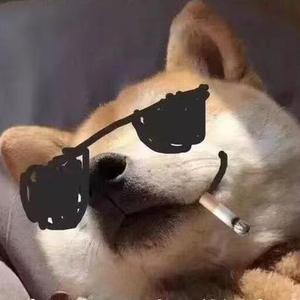 狗伦up头像