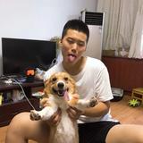 联盟小辣鸡头像