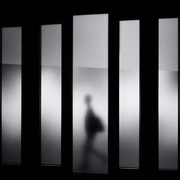 0daydown的个人资料头像