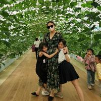 宇宙超级无敌睡神头像