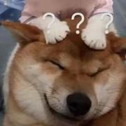 用户3837620873739的个人资料头像