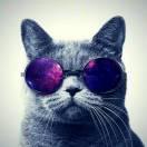 噜噜是lulu的个人资料头像