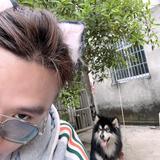 不要在执着不值得的人头像