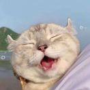 大瘦子的个人资料头像