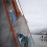 天亮说晚安8877头像