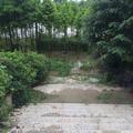 ChenlichenLICHEN头像