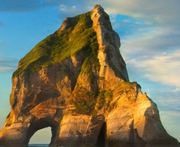 无视你的个人资料头像