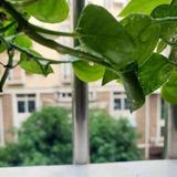 晴天阴天雨天877头像