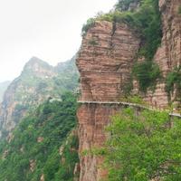 坦荡的海洋Ty头像