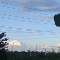 业余种菜闲余养龟头像