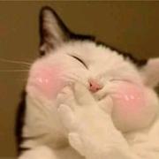 YangSii的个人资料头像