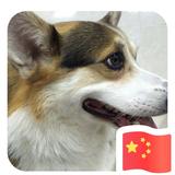 开心就好16955头像