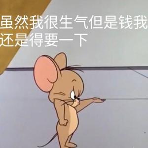 呆呆不会打王者头像