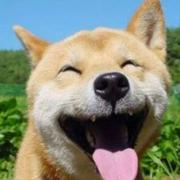 永遇乐同学的个人资料头像