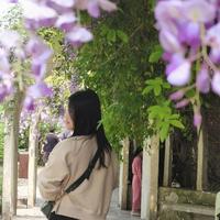 鞍山小姑娘头像