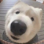 Coder_Ze的个人资料头像