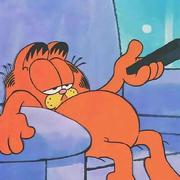 爱玩代码的小张的个人资料头像