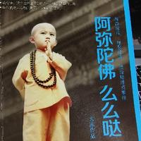 sunshine舒阳头像