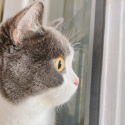 luffycoding的个人资料头像