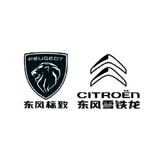 自强不息高山DhE头像