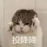 比亚迪卖车小伙头像