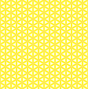 11011的个人资料头像