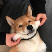 云散的个人资料头像