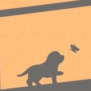 WangQ823的个人资料头像