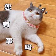 搬砖党ggggggggggg的个人资料头像