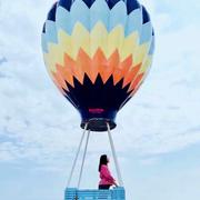 000000177的个人资料头像