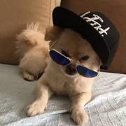 逆风奔袭的个人资料头像