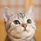 南柯一梦6430头像