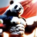 优雅风声EFk头像