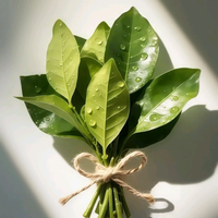 福禄财运来头像