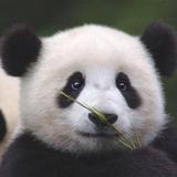 科技小书包Super头像
