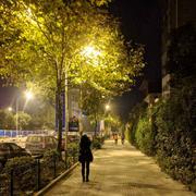 大路866的个人资料头像