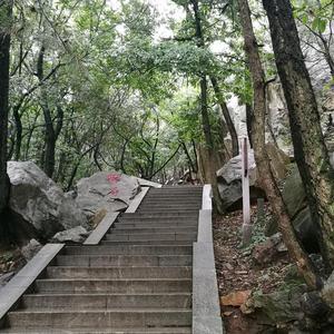 和风沐雨踏雪头像