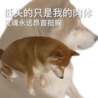 兴奋的大公狗a头像