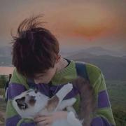 用户9305368625487的个人资料头像