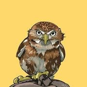 Benjamin77的个人资料头像