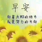 热情海浪KTn头像