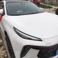 婧妍苏洋爸爸头像