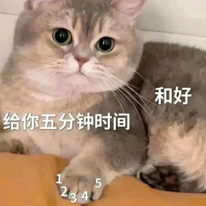 我在头像